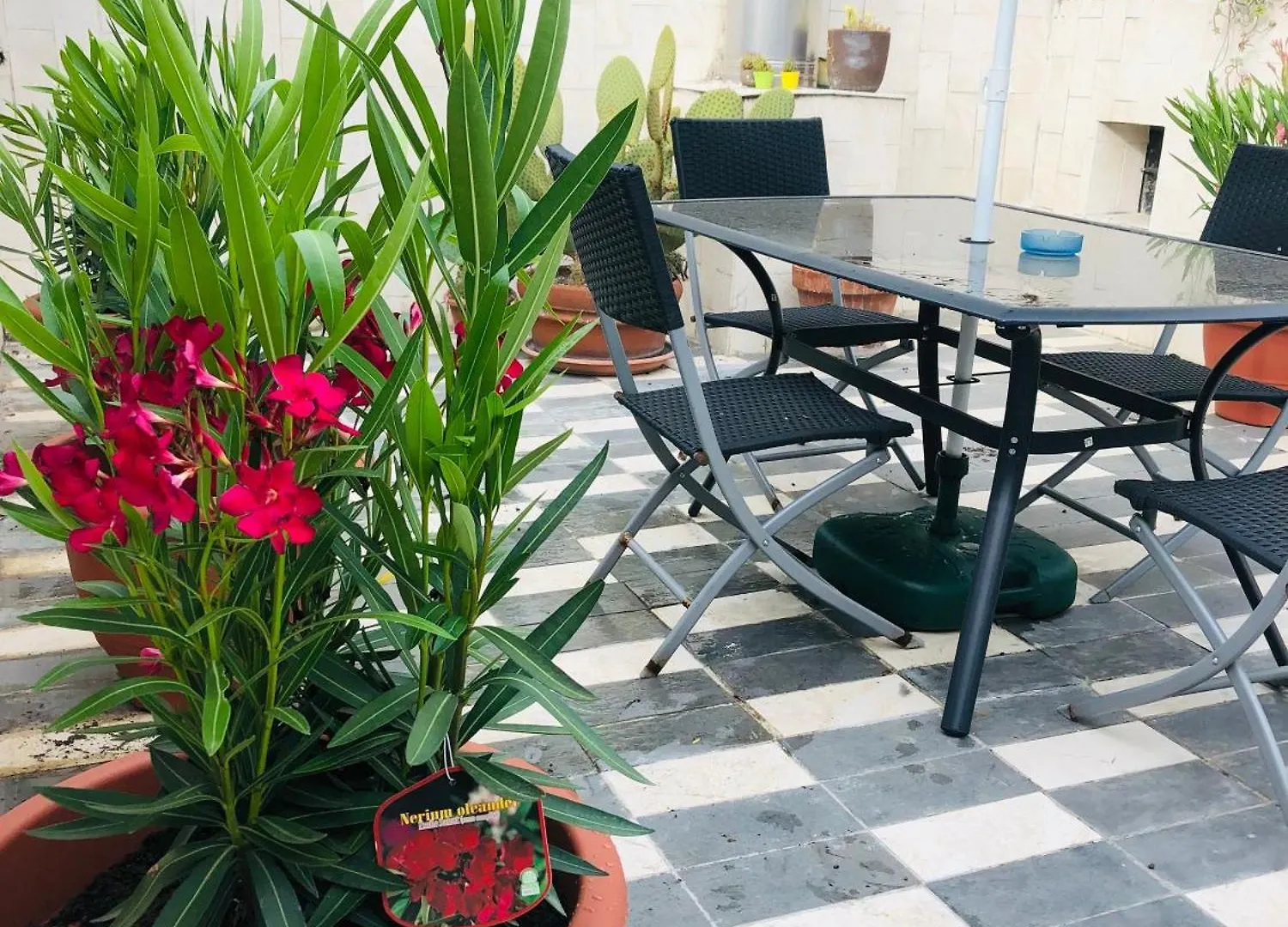 Appartamento Sophia Center Loft Verona